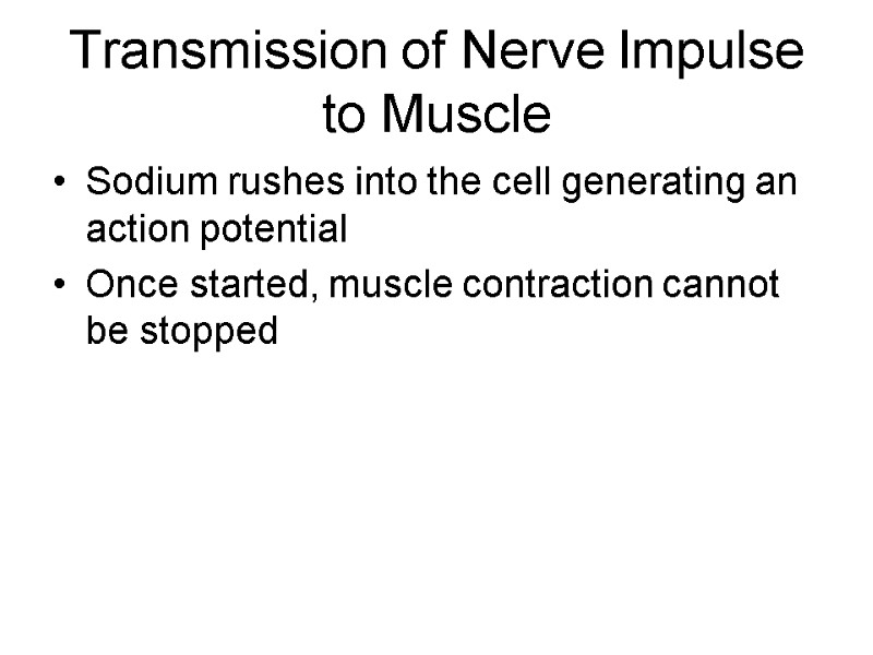 Transmission of Nerve Impulse to Muscle Sodium rushes into the cell generating an action
